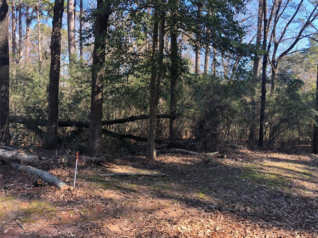 0 Pike Dr, Hemphill, TX 75948 - photo 1