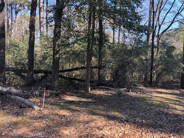 0 Pike Dr, Hemphill, TX 75948 - photo 1