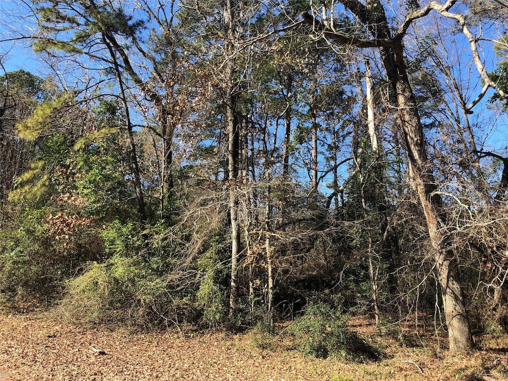 0 Pike Dr, Hemphill, TX 75948 - photo 2