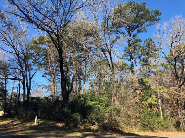 0 Pike Dr, Hemphill, TX 75948 - photo 3