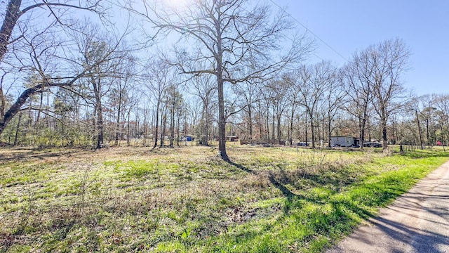 TBD Dotty Creek St, Coldspring, TX 77331 - photo 1