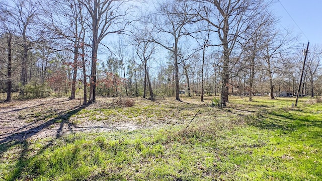 TBD Dotty Creek St, Coldspring, TX 77331 - photo 2