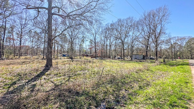 TBD Dotty Creek St, Coldspring, TX 77331 - photo 3