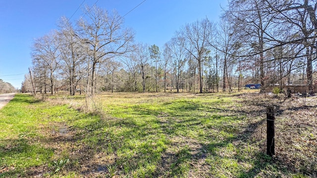 TBD Dotty Creek St, Coldspring, TX 77331 - photo 4