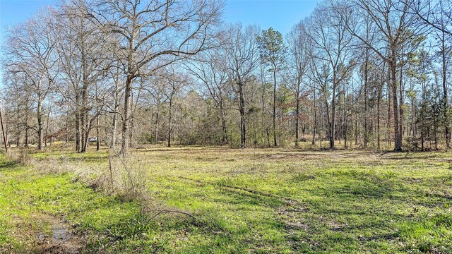 TBD Dotty Creek St, Coldspring, TX 77331 - photo 5