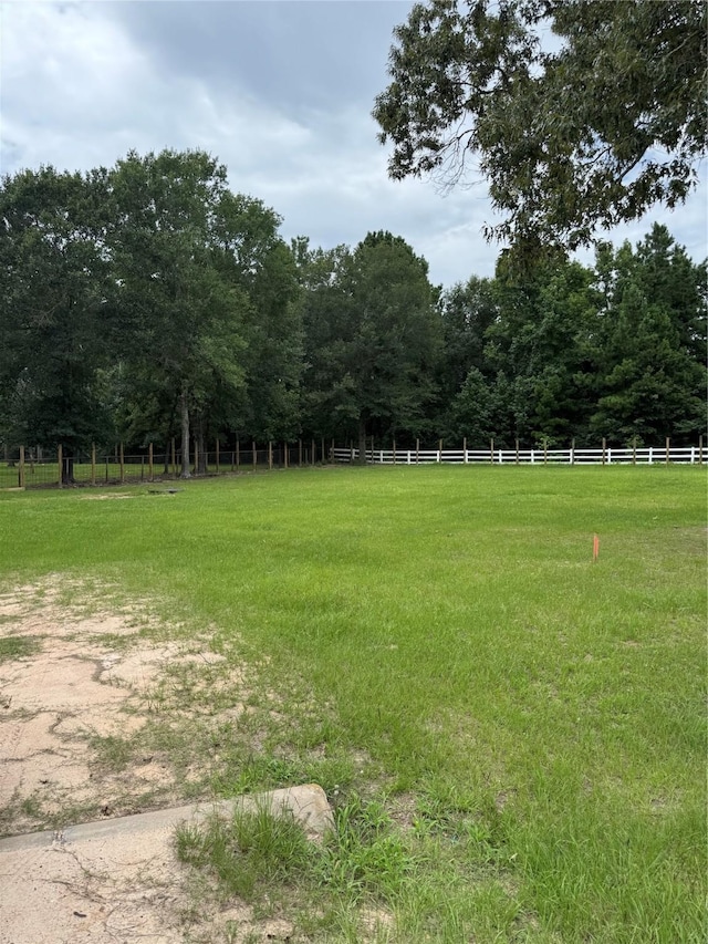 27780 Riley Rd, Waller, TX 77484 - photo 4