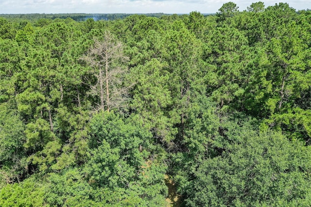 7.7 Hill Rd, Willis, TX 77378 - photo 13