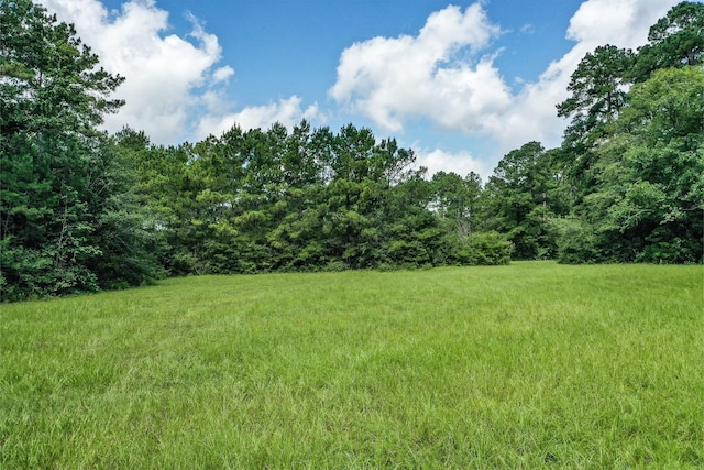 7.7 Hill Rd, Willis, TX 77378 - photo 1