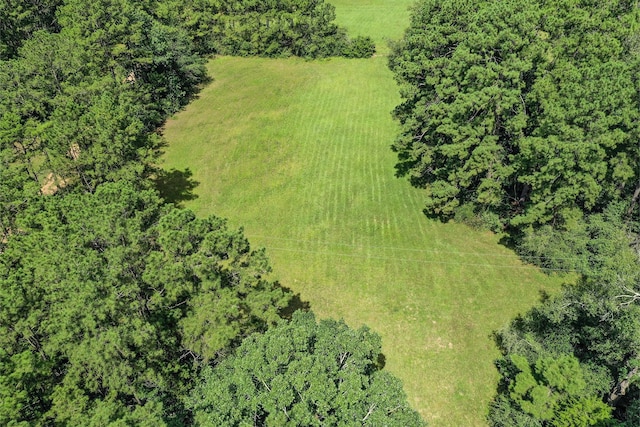 7.7 Hill Rd, Willis, TX 77378 - photo 3