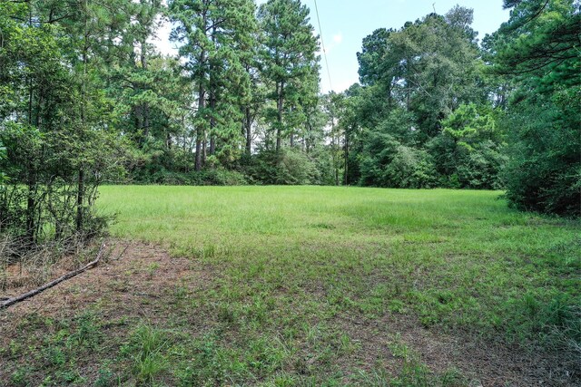 7.7 Hill Rd, Willis, TX 77378 - photo 4