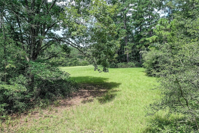 7.7 Hill Rd, Willis, TX 77378 - photo 5