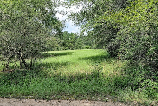 7.7 Hill Rd, Willis, TX 77378 - photo 6