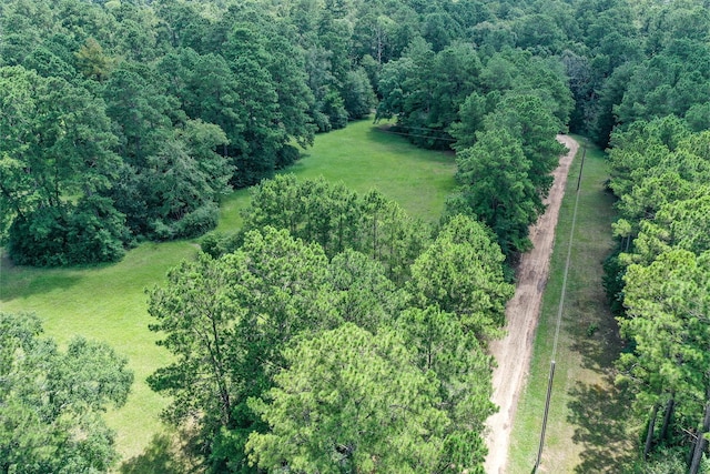 7.7 Hill Rd, Willis, TX 77378 - photo 7