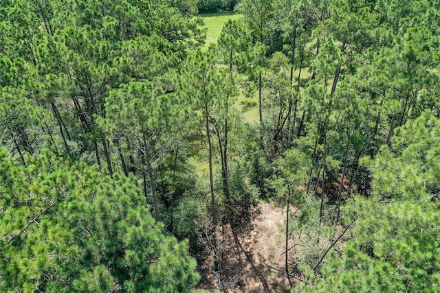 7.7 Hill Rd, Willis, TX 77378 - photo 14