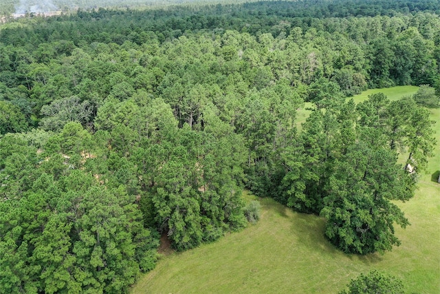 7.7 Hill Rd, Willis, TX 77378 - photo 15