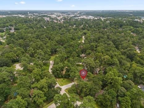 33 Crystal Lake Ln, The Woodlands, TX 77380 - photo 28