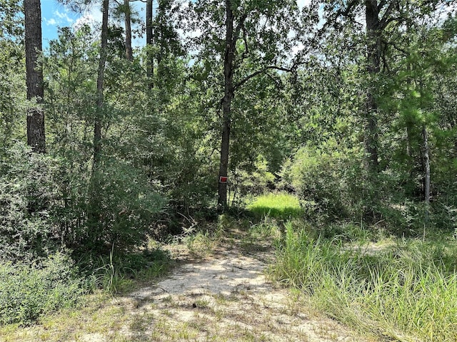 LOT152 Nottingham Cir, Hockley, TX 77447 - photo 3