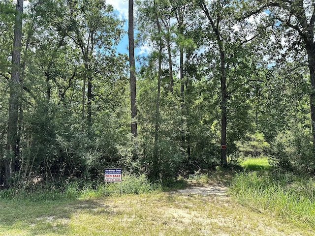 LOT152 Nottingham Cir, Hockley, TX 77447 - photo 4