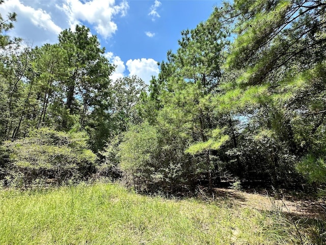 LOT152 Nottingham Cir, Hockley, TX 77447 - photo 5