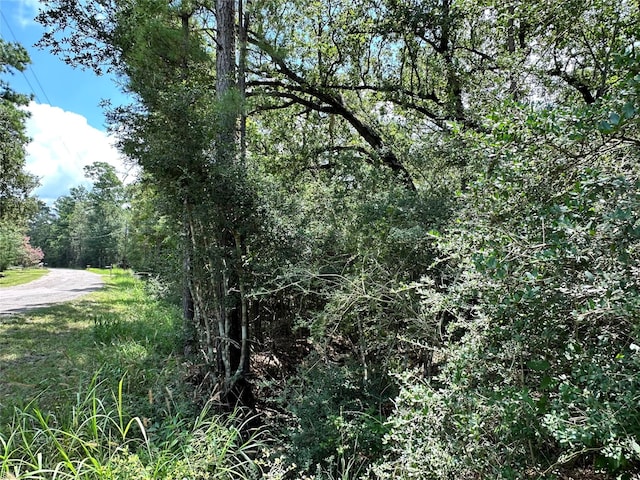 LOT152 Nottingham Cir, Hockley, TX 77447 - photo 6