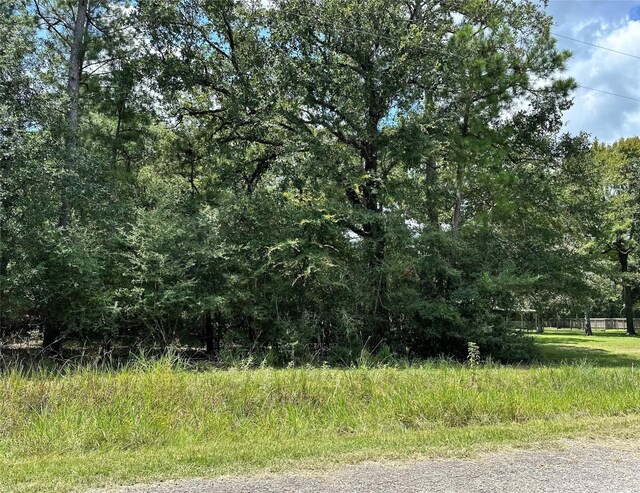 LOT152 Nottingham Cir, Hockley, TX 77447 - photo 7