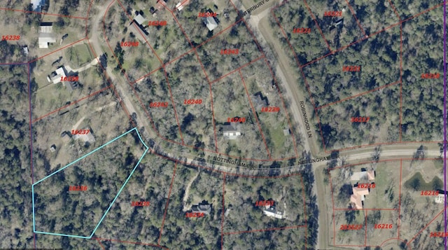 LOT152 Nottingham Cir, Hockley, TX 77447 - photo 8
