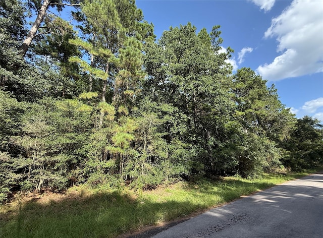 TBD Grand Flower Dr, Plantersville, TX 77363 - photo 1