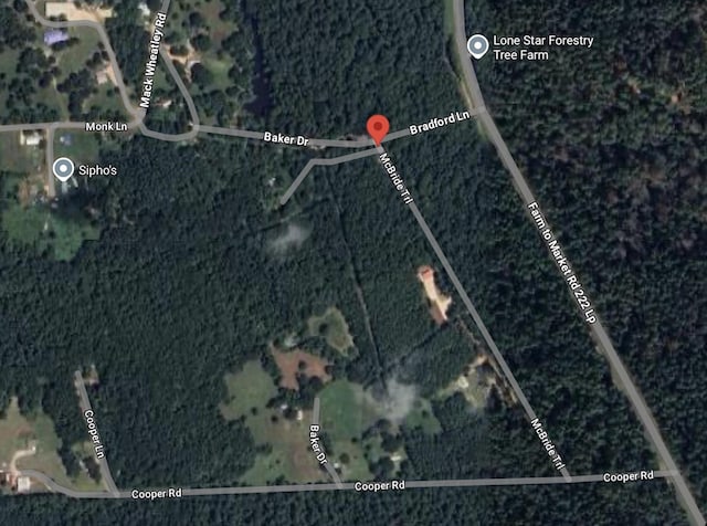 150 Mcbride Trl, Coldspring, TX 77331 - photo 1