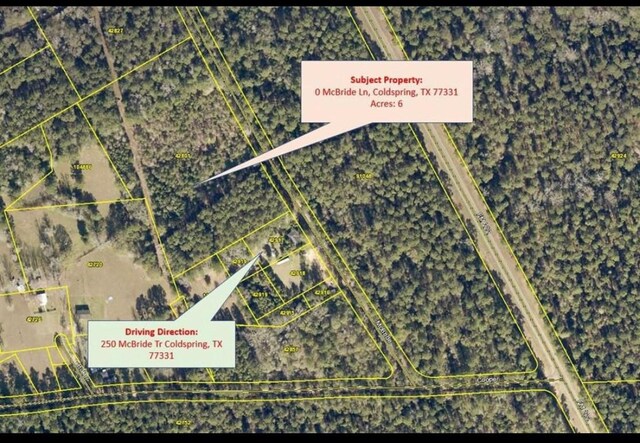 150 Mcbride Trl, Coldspring, TX 77331 - photo 2