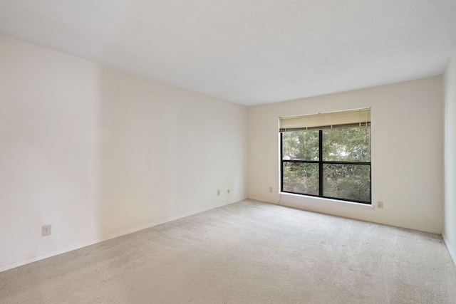 7900 N Stadium Dr Unit 102, Houston, TX 77030 - photo 5