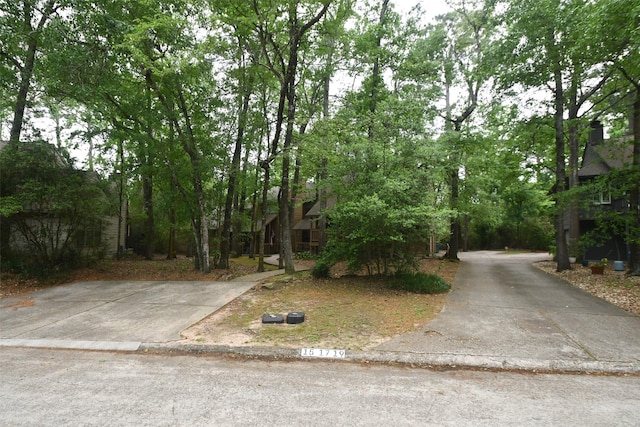 19 Sawmill Grove Ln, The Woodlands, TX 77380 - photo 29