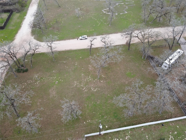 26149 Deerwood Dr, Hempstead, TX 77445 - photo 6