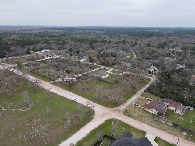 26149 Deerwood Dr, Hempstead, TX 77445 - photo 9