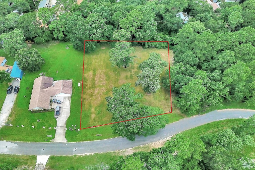 TBD E Hollyhill Dr, Plantersville, TX 77363 - photo 1