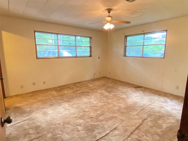 480 Elaine Dr, Woodville, TX 75979 - photo 15