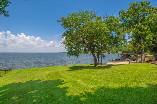 368 Forest Hills Dr, Livingston, TX 77351 - photo 49