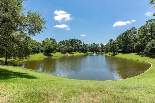 8131 Debbie Gay Dr, Houston, TX 77040 - photo 35