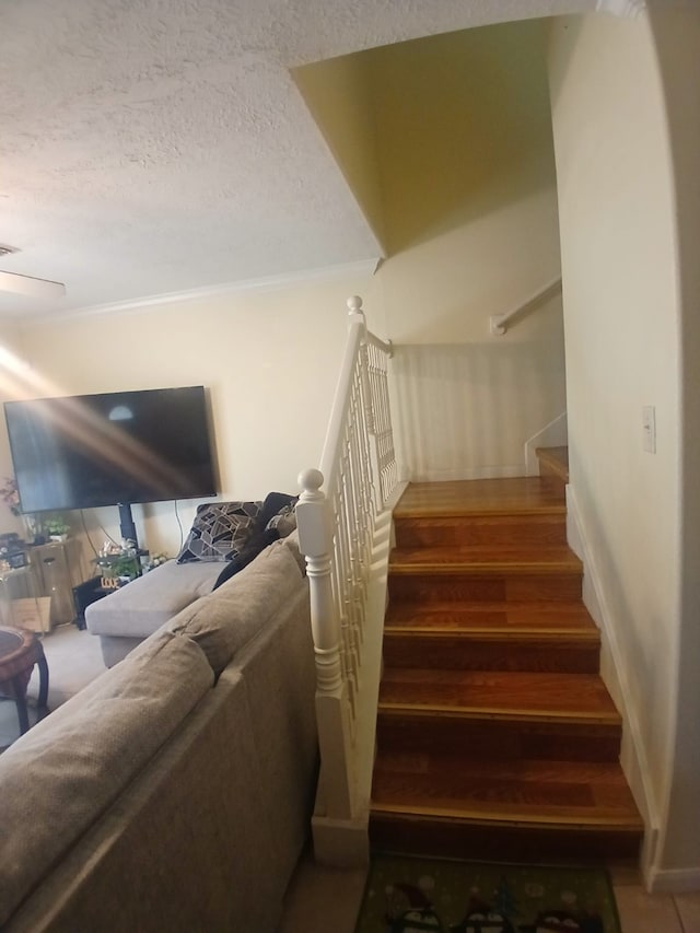 14507 Polo St, Houston, TX 77085 - photo 5