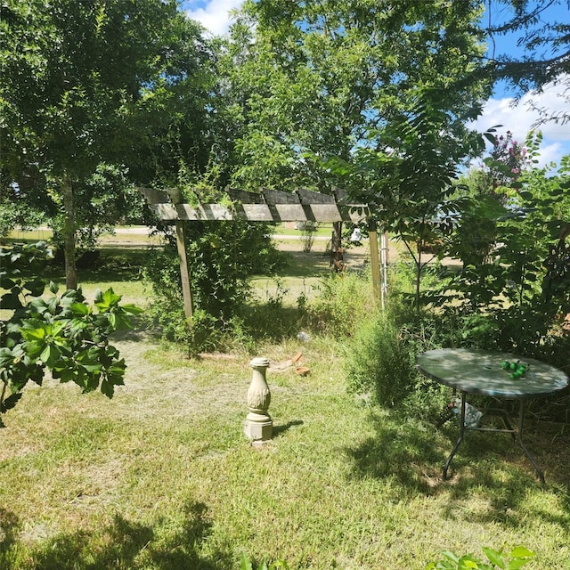 2529 Stehle Rd, Rosenberg, TX 77471 - photo 2