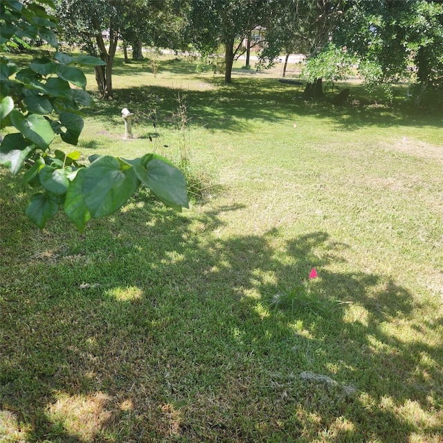 2529 Stehle Rd, Rosenberg, TX 77471 - photo 3