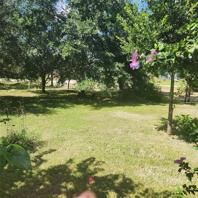 2529 Stehle Rd, Rosenberg, TX 77471 - photo 4