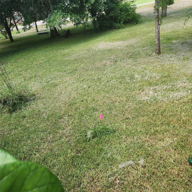 2529 Stehle Rd, Rosenberg, TX 77471 - photo 7