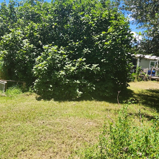 2529 Stehle Rd, Rosenberg, TX 77471 - photo 8