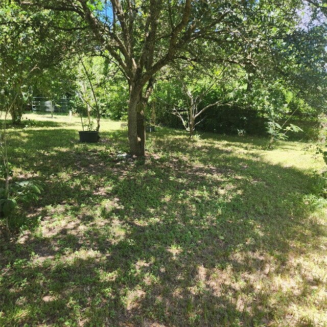 2529 Stehle Rd, Rosenberg, TX 77471 - photo 9