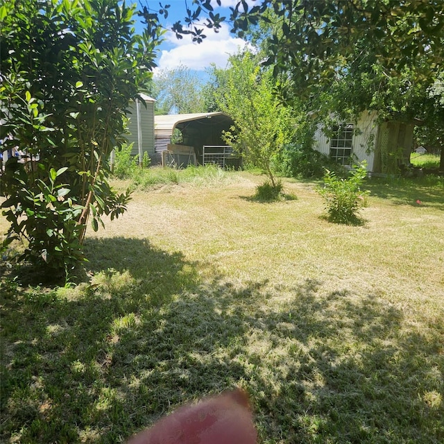 2529 Stehle Rd, Rosenberg, TX 77471 - photo 10