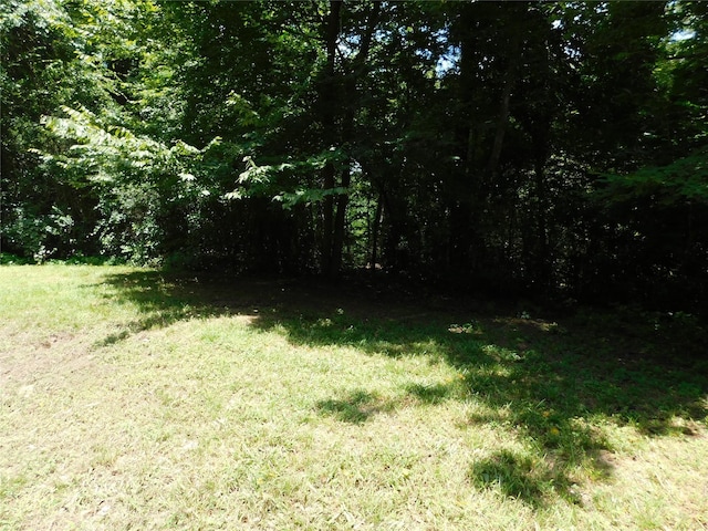 105 Parklane Dr, Livingston, TX 77351 - photo 15
