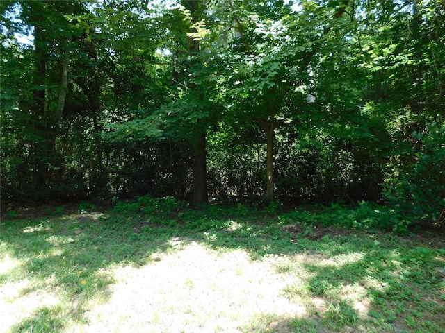 105 Parklane Dr, Livingston, TX 77351 - photo 16