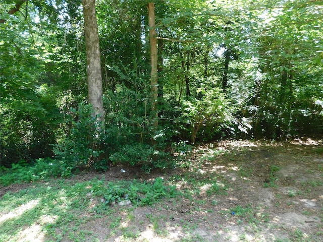 105 Parklane Dr, Livingston, TX 77351 - photo 17