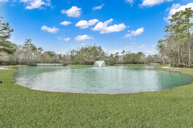 71 E Victory Lake Dr, Conroe, TX 77384 - photo 40