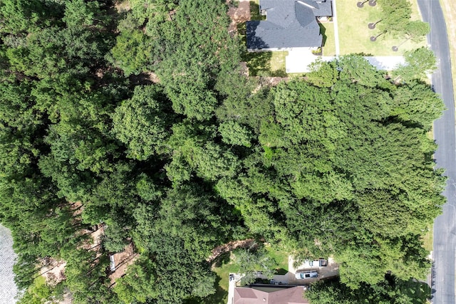 27140 Saddlehorn Dr, Waller, TX 77484 - photo 14